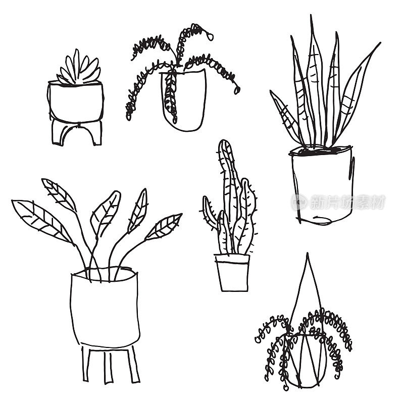 House Plants Black and White